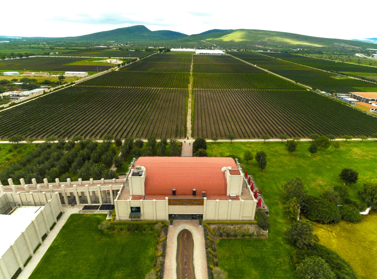 케레타로 와인: 통합 산업의 과제