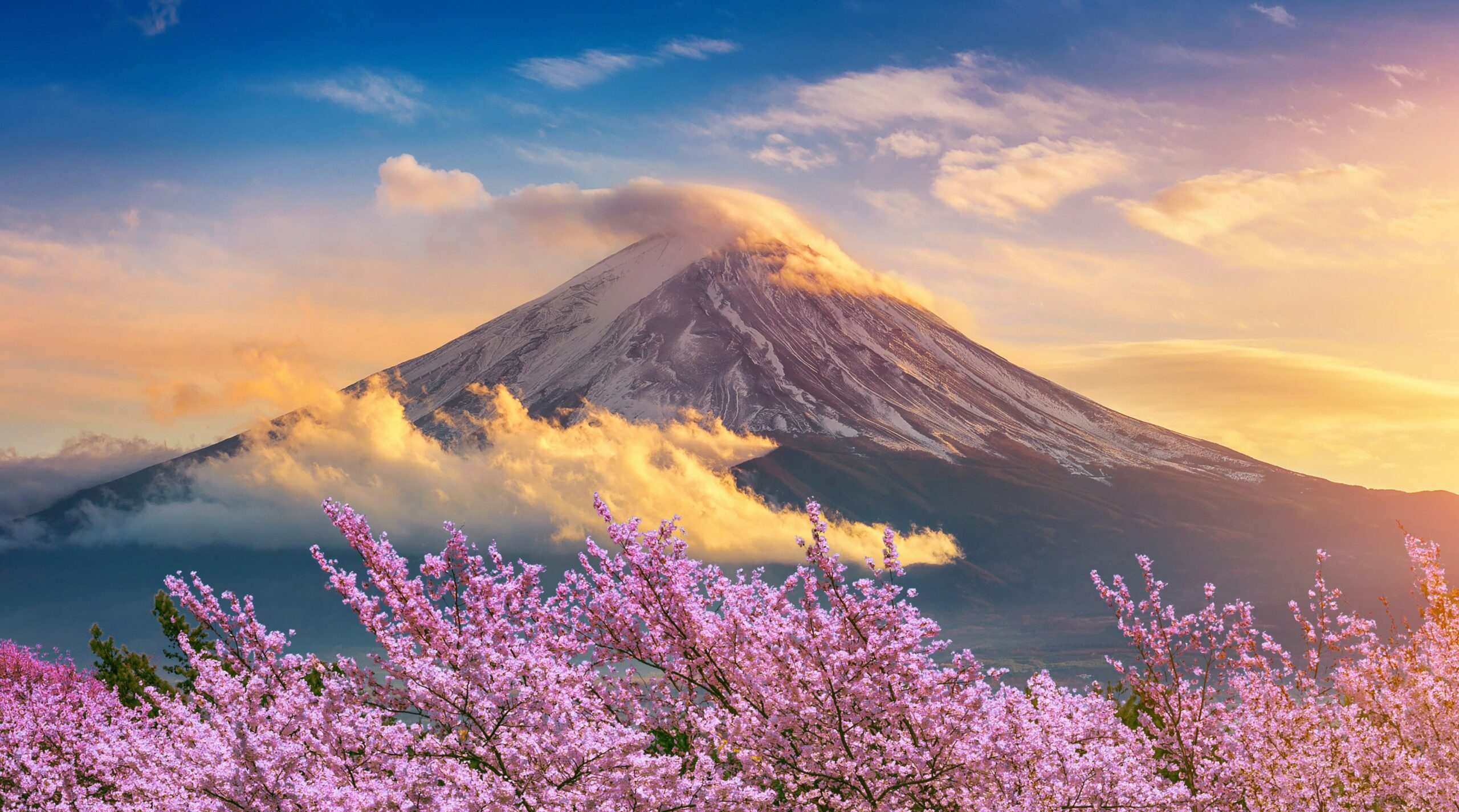 멕시코, 일본에 석유 수출: 호르무즈 해협, 글로벌 에너지 지도를 재편하다