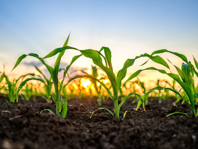 Jalisco Agroempresarial 2026: 참가 신청 기간, 자격 요건 및 주요 정보
